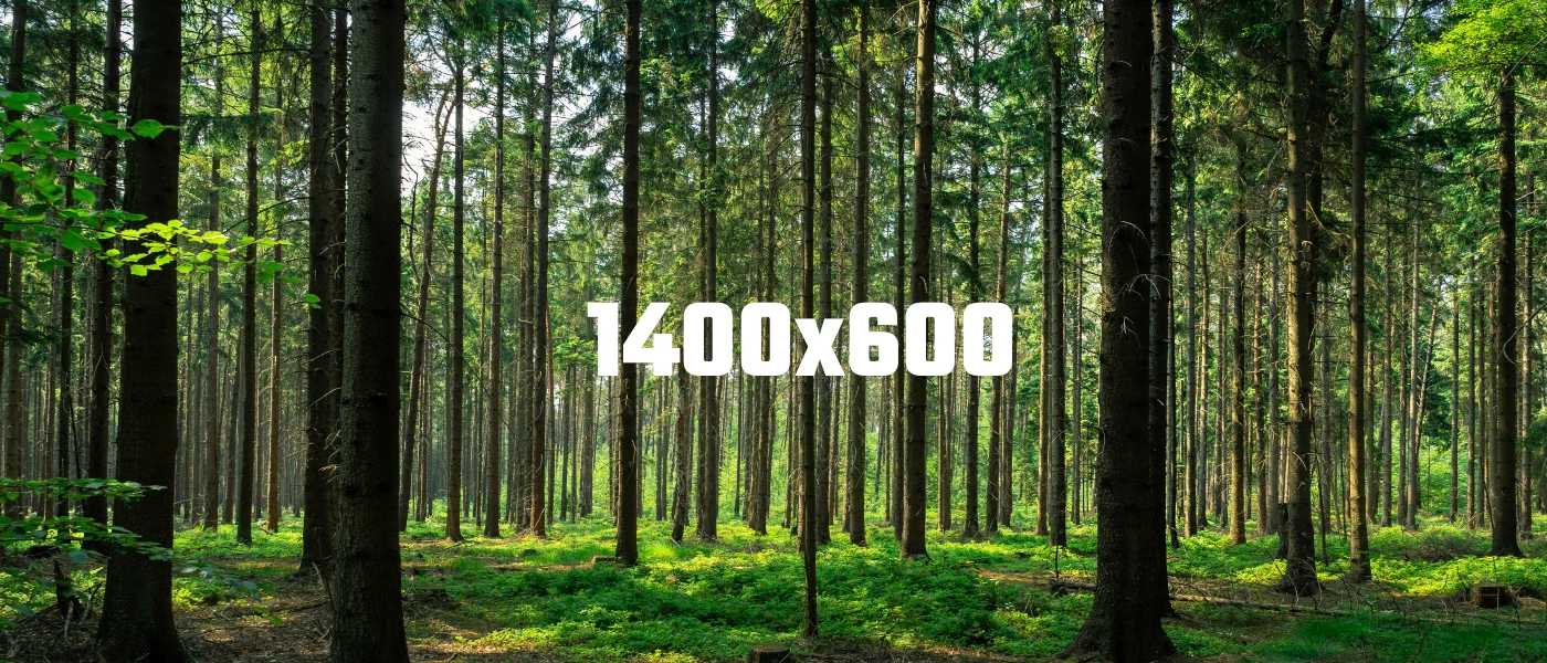 Webmaister teszt áruház