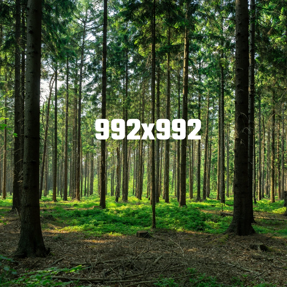 Webmaister teszt áruház