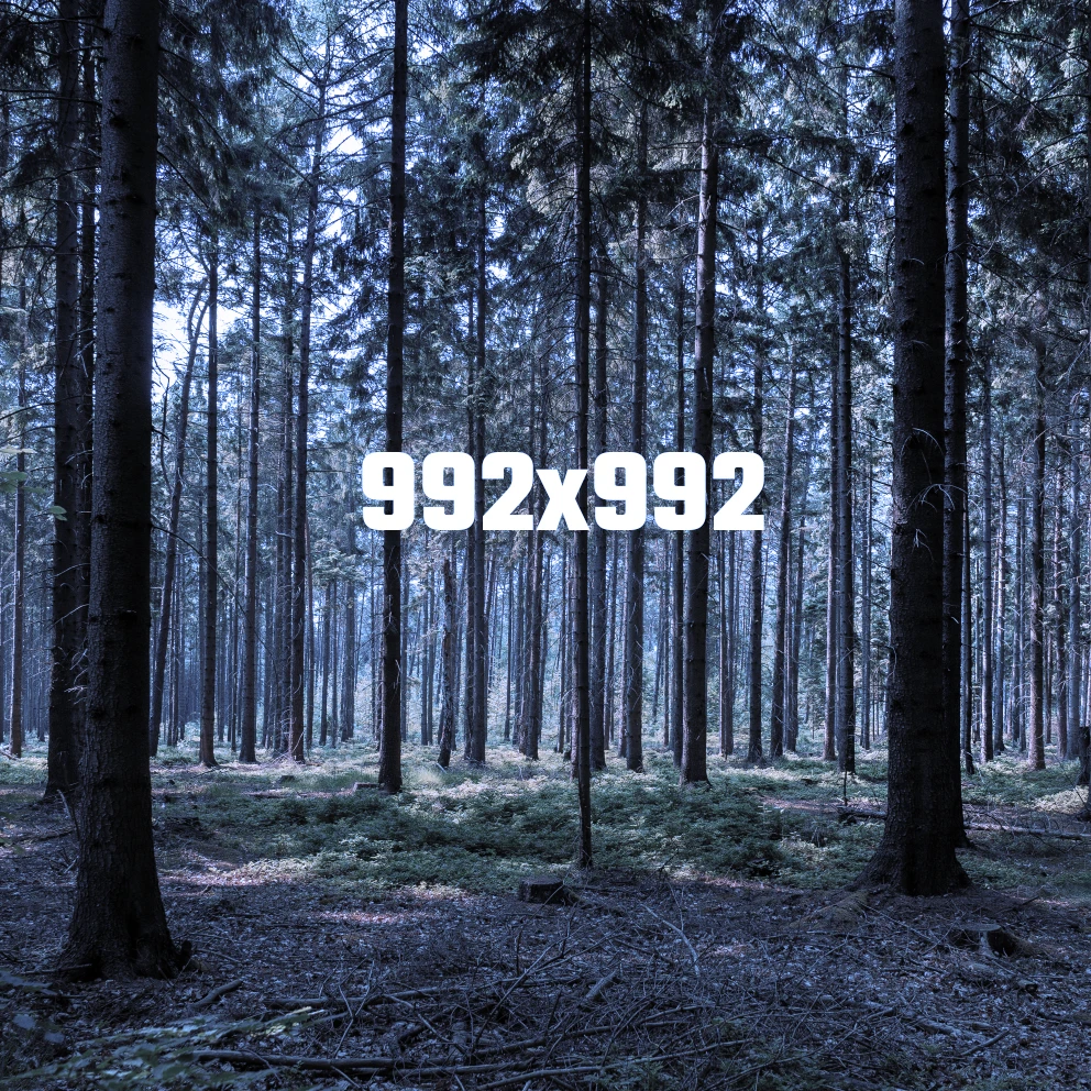 Webmaister teszt áruház