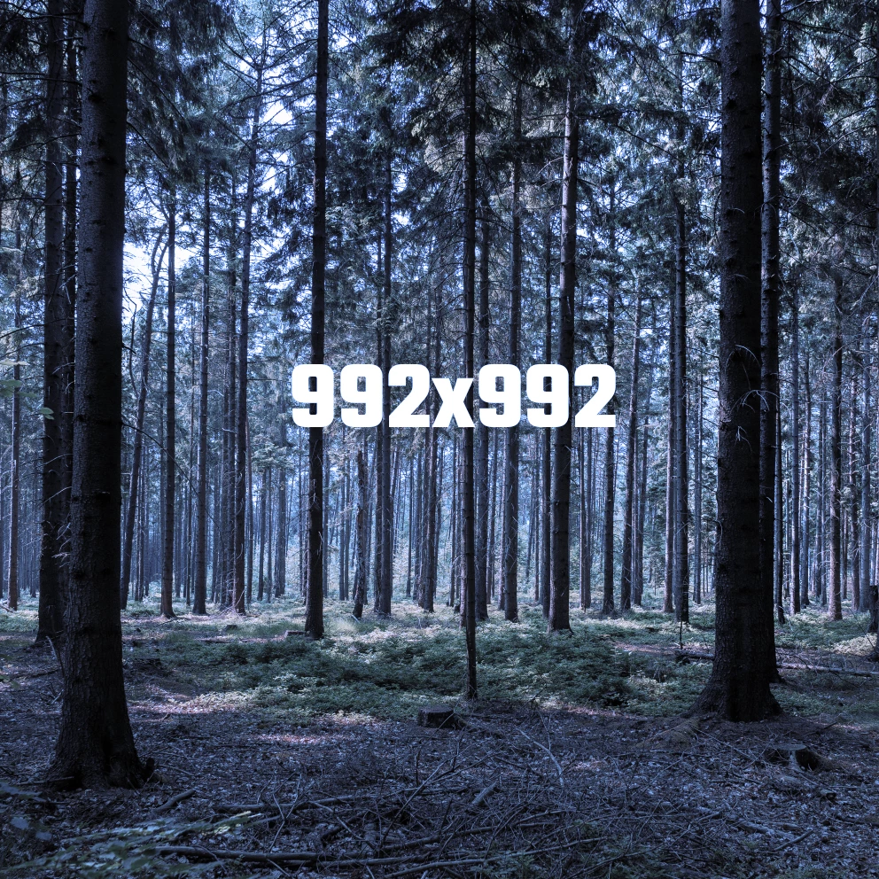 Webmaister teszt áruház