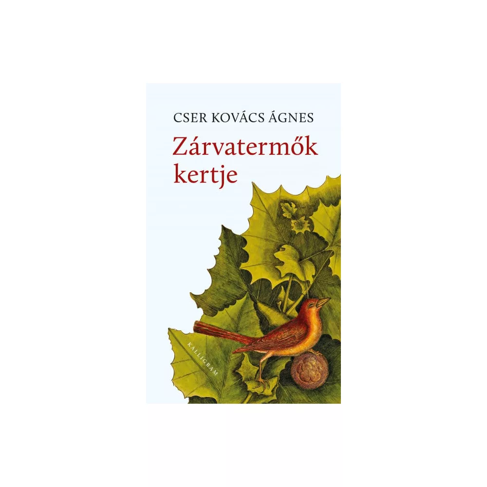 Zárvatermők kertje