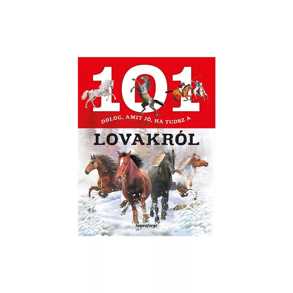 101 dolog, amit jó ha tudsz a lovakról