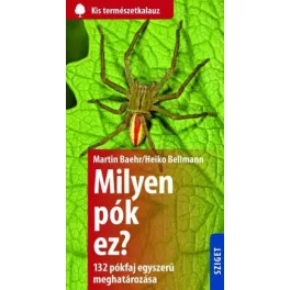 Milyen pók ez? - 132 pók egyszerű meghatározása