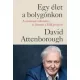 Egy élet a bolygónkon