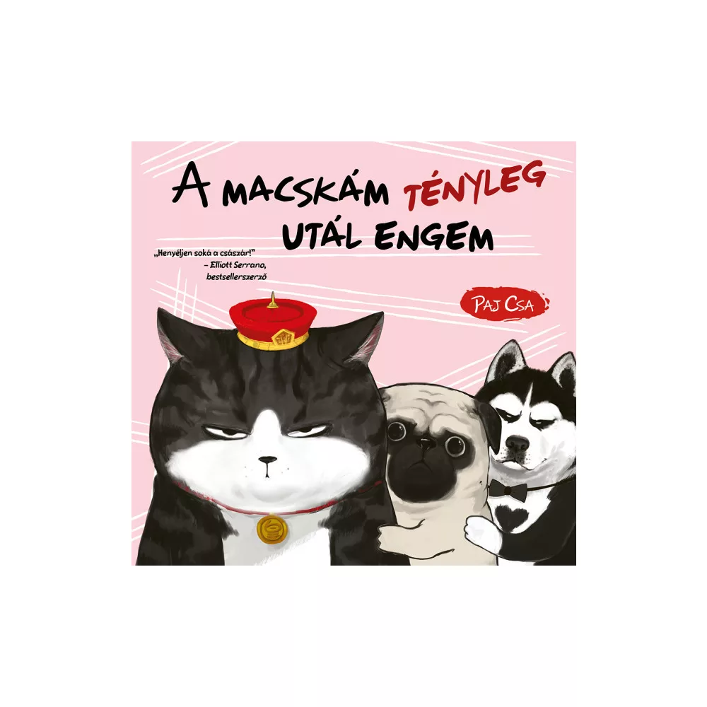 A macskám tényleg utál engem (Macska és Kutya 2.)