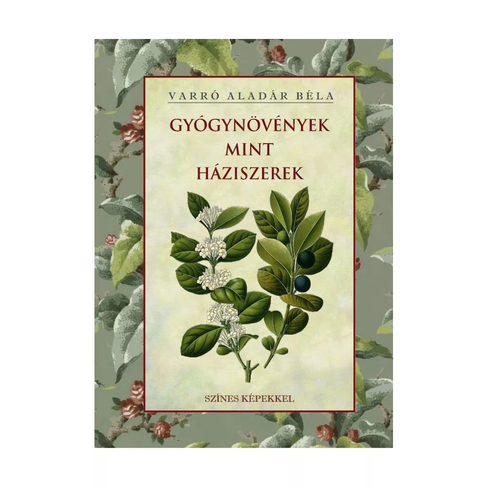 Gyógynövények mint háziszerek