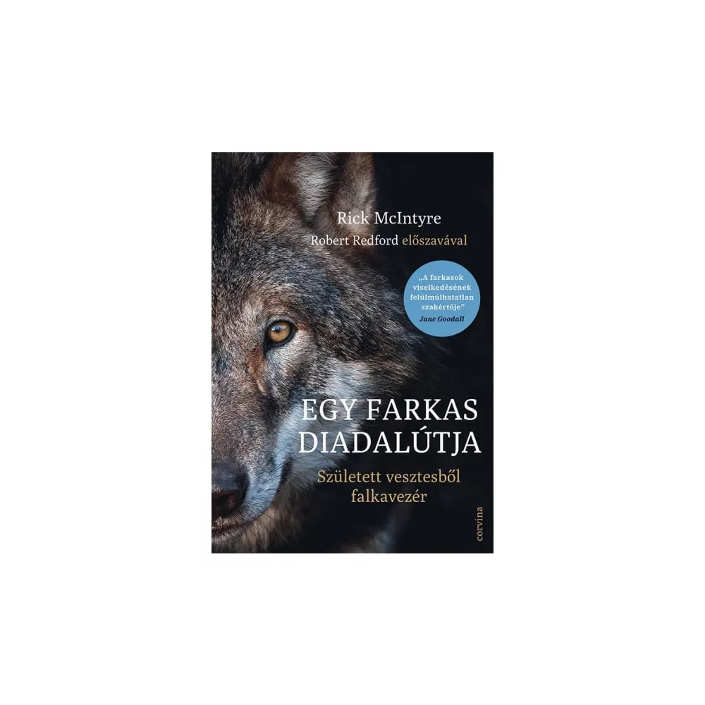 Egy farkas diadalútja