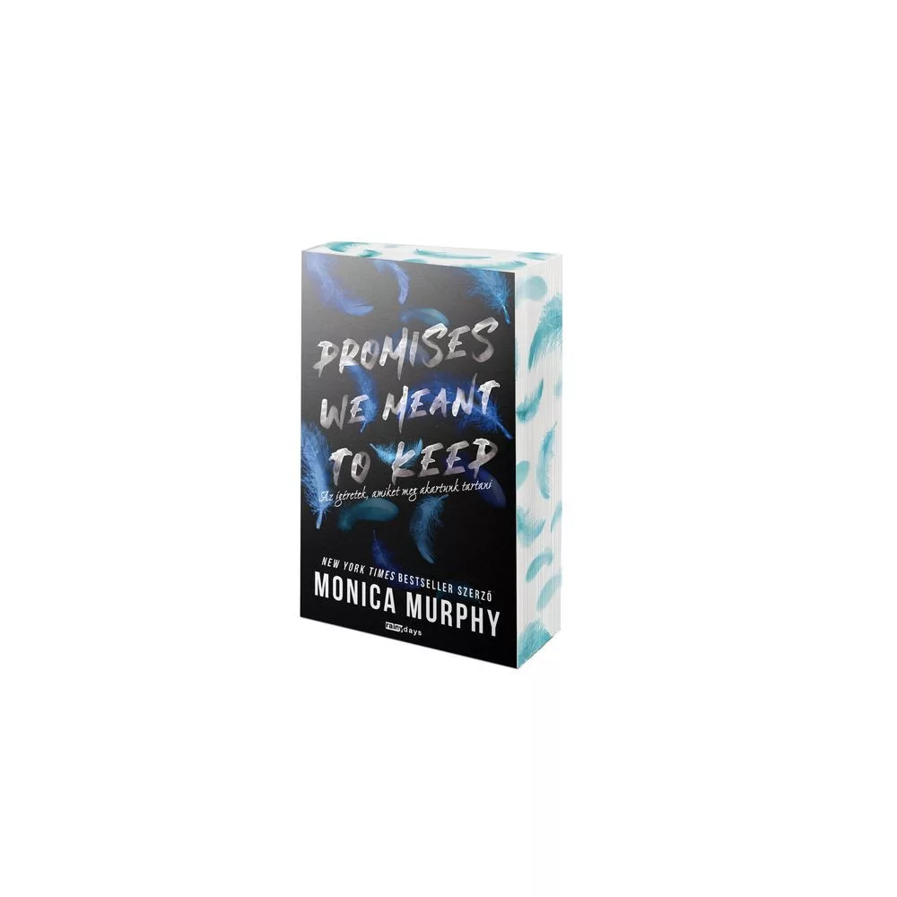 Promises We Meant to Keep - Az ígéretek, amiket meg akartunk tartani - Éldekoros kiadás